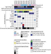 Maybe you would like to learn more about one of these? Genomic Profiling Of Malignant Peritoneal Mesothelioma Reveals Recurrent Alterations In Epigenetic Regulatory Genes Bap1 Setd2 And Ddx3x Modern Pathology
