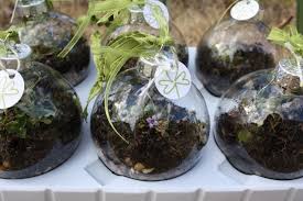 Mini Terrariums In Glass Ornaments And Embellished With Stamped Tag Would Make A Lovely Gift Mini Terrarium Mini Ornaments Terrarium