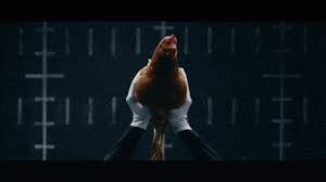 The Most Yolks Ever Found In A Single Chicken S Egg Is Nine Things With Faces The Incredibles Urban Chickens