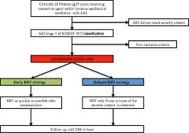Flow Chart Of The Trial Aki Acute Kidney Injury D60 Day