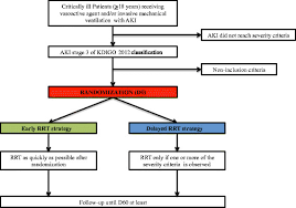 flow chart of the trial aki acute kidney injury d60 day