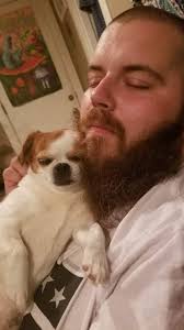 Chihuahua loves people and dogs