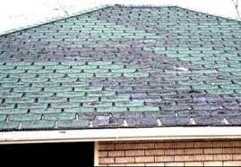 Let our specialists help you today. Central Va Roofing Commercial And Residential Roofing Contractor Charlottesville Va Roofer Charlottesville Va Roofing Service Contractor