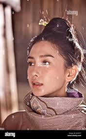 Wang long Banque de photographies et d'images à haute résolution