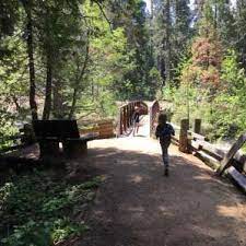 With more than 50 campsites, oak hollow campground is located about two miles into the park allowing for privacy. Oak Hollow Campground Calaveras Big Trees Ca 3 Hipcamper Reviews And 17 Photos