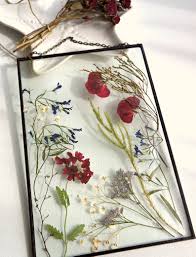 Buy etsy women's pressed forget me not flower key necklace. Floral Arrangement Real Pressed Flowers Burgundy Geranium Etsy Flower Frame Pressed Flower Art Pressed Flowers