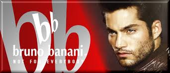 Bruno banani Men's Wallet Purse Dark Brown