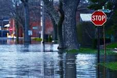 Residential Flood Insurance for the LA Dweller