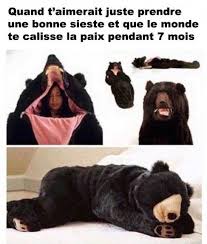 conneriesqc wtffunny wtf funny internet funny pictures funny memes humor