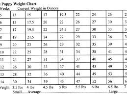 21 Competent Breed Weight Chart