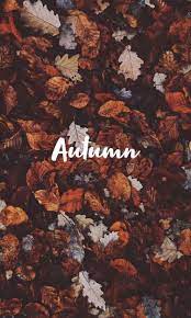 Pin By Alexandra On A R T Autumn Photography Fall Wallpaper Locked Wallpaper