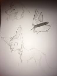 Camping And Sketching Two Of My Favorite Things Hope U All Have A Fantastic Weekend Much Luv Animal Sketches People Art Warrior Cats