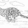 Some of the coloring page names are wild kratts 8, wild kratts the coloring, wild kratts coloring cheetah cubs my coloring, wild kratts wolves click on the coloring page to open in a new window and print. 1