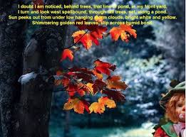 If I Set A Clown On My Lawn Dog Poems Nature Poem Animal Poems