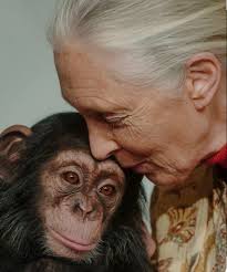 I am that I am Blessings to U all this Equinox Releasing to Renew Claiming  our Inheritance In the Light Through our Creativity