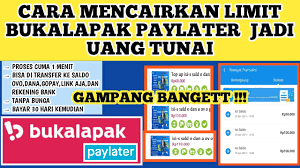 Tidak melulu bicara soal deposito dan emas. Cara Mencairkan Limit Paylater Bukalapak Jadi Saldo Dana Ovo Gopay Link Aja Dan Rekening Bank Youtube