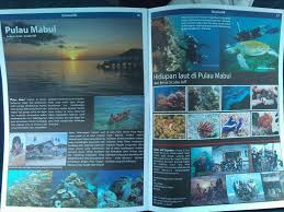 Search millions of hourly jobs on snagajob. Scuba Jeff Life And Ocean Put Heart Soul And Love On Your Finger Before You Touch Your Camera