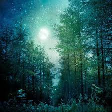 Nature Photography Enchanted Forest Trees Moon And Stars Etsy Nature Photography Night Forest Nature Pictures
