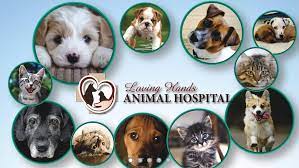 Sharing love with our care. Loving Hands Animal Hospital Home Facebook