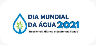 El lema de este 2021 es valorar el agua. Hg4fvsd1d0kwhm