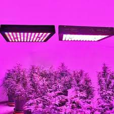 This is because they offer the best combination of lighting and energy efficiency. 6 Best Full Spectrum Led Grow Lights Reviews 2020