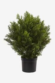 Even if you're tight on space or have a large outdoor area, we have a vast selection of all types of artificial trees. 33 Best Artificial Plants 2021 The Strategist