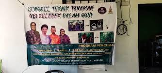 Tahukah anda ubi keledek boleh dibiakkan dengan dua cara iaitu keratan atau ubi. Pwb Hulu Bernam Bengkel Teknik Tanaman Ubi Keledek Dalam Facebook