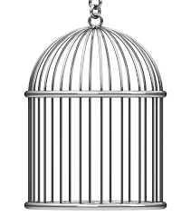 Bird Cage Bird Cage Creative Poster Design Cage