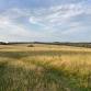 Stanmer Park Loop 9km event in Brighton