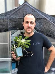 Image result for Cleistochlamys