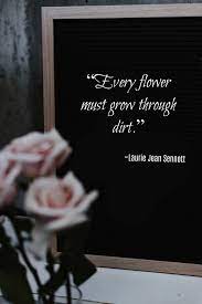 We did not find results for: Inspirational Flower Quotes Motivational Sayings With Photos Of Flowers