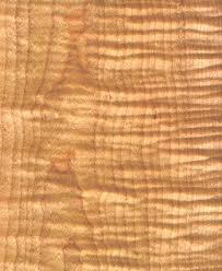 Curly Maple I Want To Use And Make Kitchen Cabinets Woodworking Wood Wood Patterns Wood Veneer