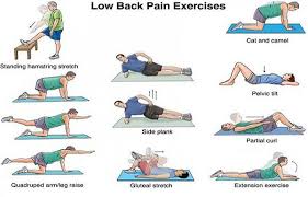 Lower back is a very important part of the back. Tips To Prevent Lower Back Pain