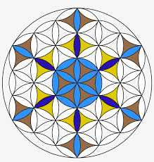Download How To Draw A Flower Of Life With Only A Compass Star Svg File Free 1000x1000 Png Download Pngkit