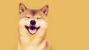 Shiba Inu Announces An Nft Sale Nft Hours