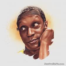 Best leather couch cleaner for cat owners?