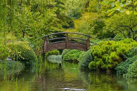 Maybe you would like to learn more about one of these? The 10 Best Things To Do Near Fort Worth Botanic Garden Tripadvisor