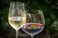 Beginners Guide to Wine & Chocolate with Kate Kucera!