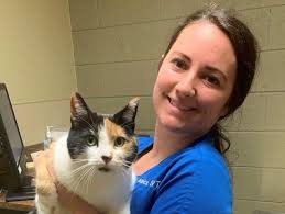 Veterinary Services For Cats