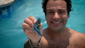 NOLA Pool Passport: The Blue Crawfish offers a lazy river, waterfall,  massages, and botox