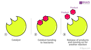 Selectivity Of Catalyst And Its Activity Catalyst Chemical Reaction