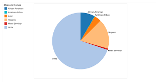 Map In Austin Isd A Diversity Gap Exists Between Teachers