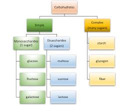 Solution for carbohydrates are stored in the liver and muscles in the form of a.glucose. Types Of Carbohydrates