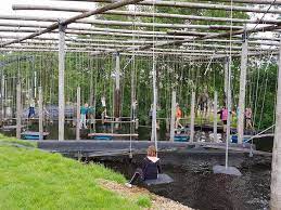 Poldersport de kwakel doet al 20 jaar aan survival in de polder. Polderpret Bij Poldersport Op De Sport En Spel De Kwakel Facebook