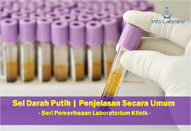 Meski begitu, kelebihan sel darah putih juga patut diwaspadai, karena bisa jadi ini pertanda adanya penyakit yang serius. Sel Darah Putih Penjelasan Secara Umum Info Laboratorium Medik
