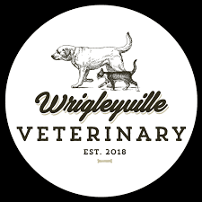 Andy from chicago pet clinic was because i didn't like how other two vets interacted with lola. Veterinarian In Wrigleyville Chicago Animal Hospital In Chicago