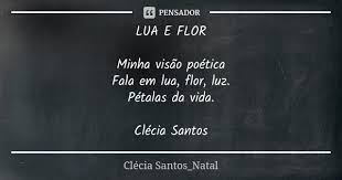 Lua E Flor Minha Visao Poetica Fala Em Clecia Santos Natal