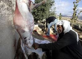 Bildergebnis für ‫صور فلسطينية قديمة‬‎