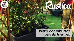 Selon l'exposition de la terrasse, le choix varie. Terrasse Planter Un Arbuste Persistant En Bac Youtube
