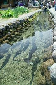 29 Rock Garden And Backyard Ideas Landscaping For Make You Happy 19 Aegisfilmsales Com Ponds Backyard Fish Ponds Japanese Garden